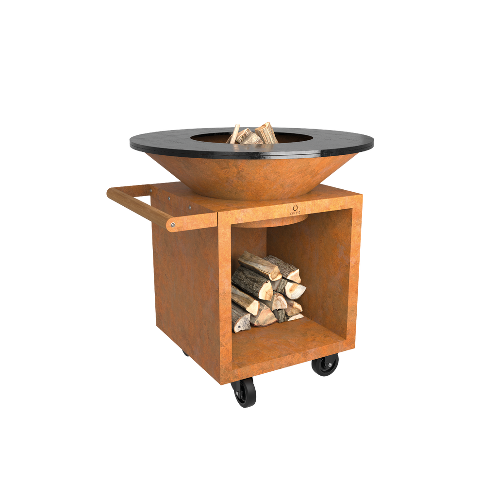 Classic Storage 100 PRO