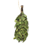 Sauna Whisk